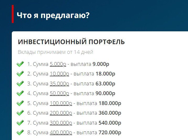 Стоимость участия в инвестиционном проекте Тимура Гареева