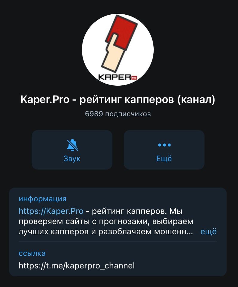 Телеграм канал Kaper.pro (Каперпро)