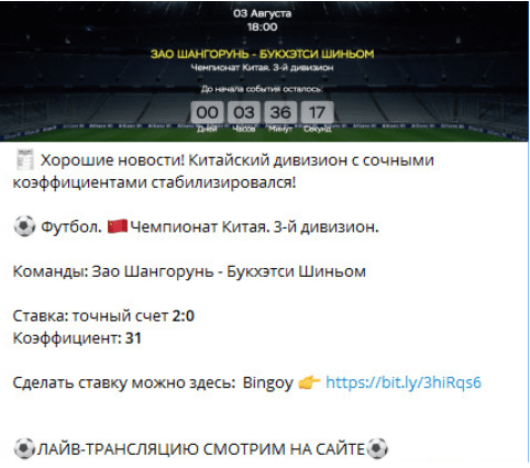 Прогнозы на сайте Bingoy Bet