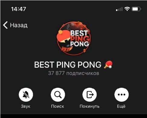 best ping pong телеграмм