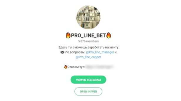 Pro Line Bet Телеграмм