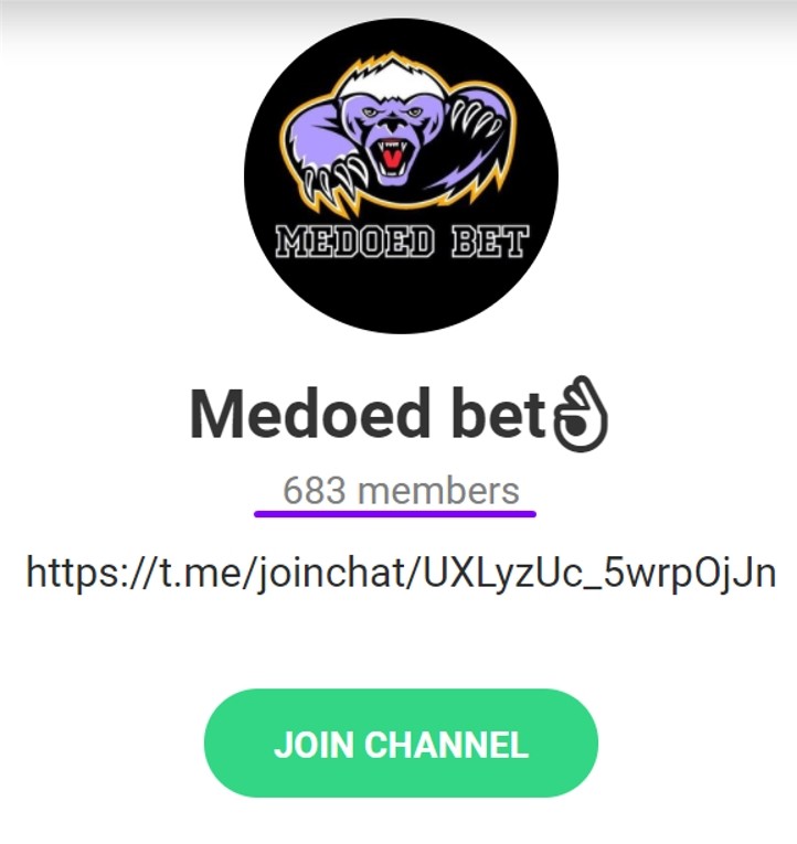 Телеграмм канал Medoed Bet