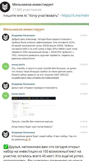 Мельников Инвестирует - схема работы