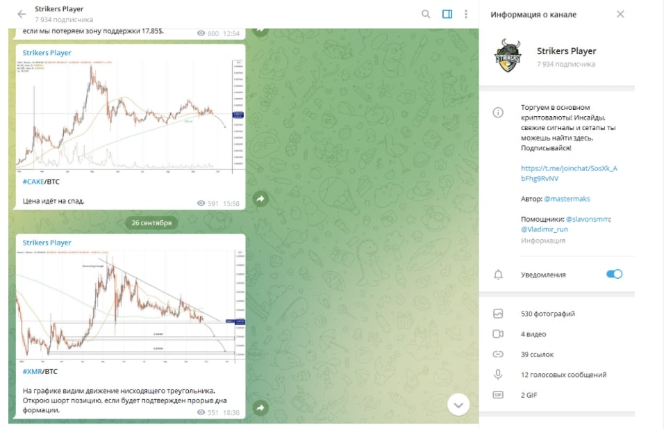 Strikers Player Telegram - криптовалюта