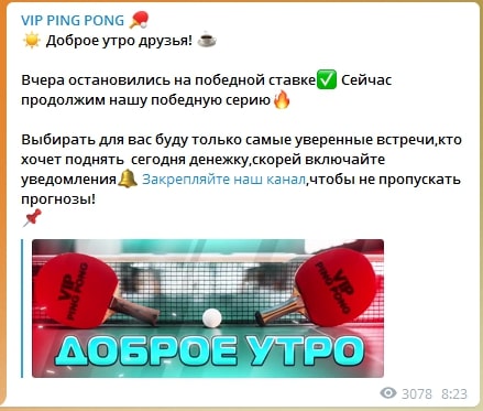 VIP Ping Pong - ставки на спорт