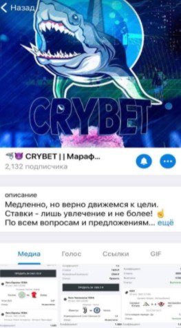 Телеграмм канал CRYBET