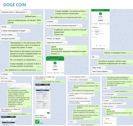 DOGE COIN - отзывы