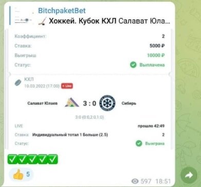 BitchpaketBet каппер - прогнозы