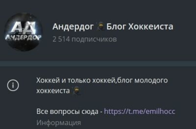 Телеграмм канал Андердог Блог Хоккеиста