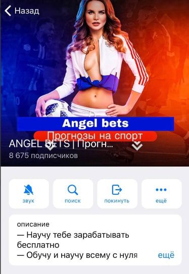 Телеграмм проект ANGEL BETS