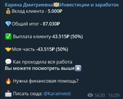 Карина Дмитриевна Инвестиции статистика