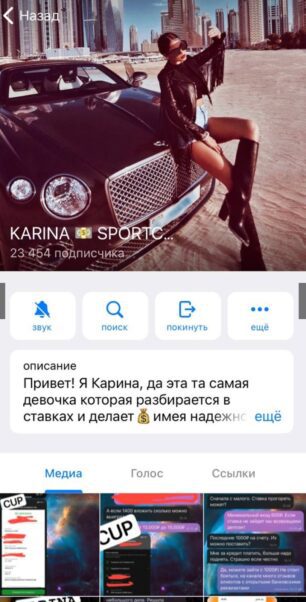 Телеграмм канал KARINA SPORTBET