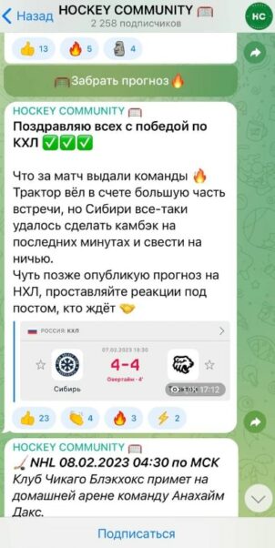 Проект HOCKEY COMMUNITY