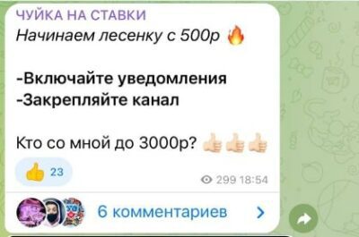 Проект Чуйка на ставки