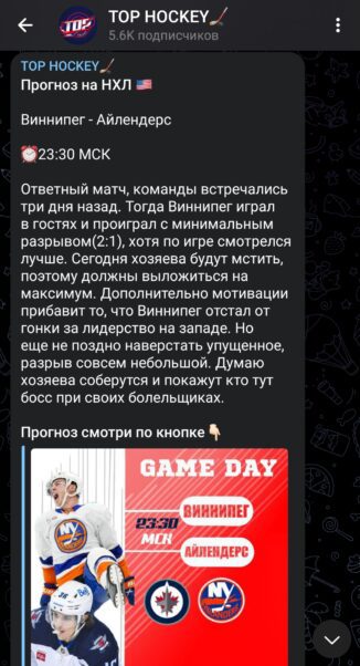 Проект Top Hockey