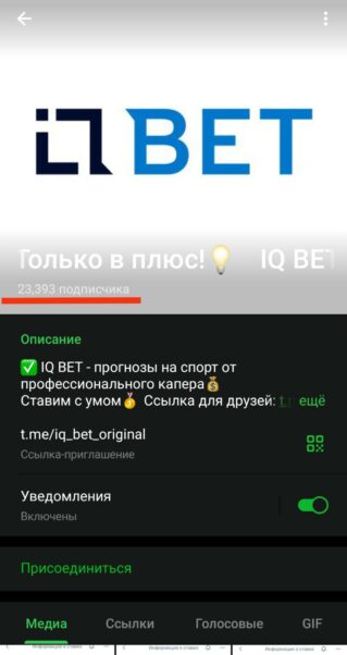 Телеграмм IQ Bet