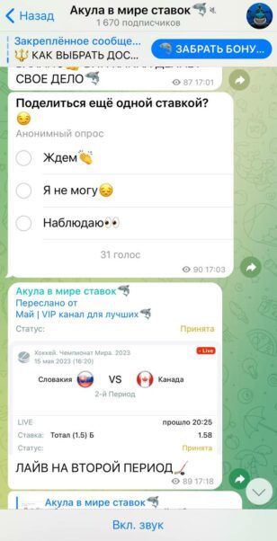 Канал Акула в Мире Ставок