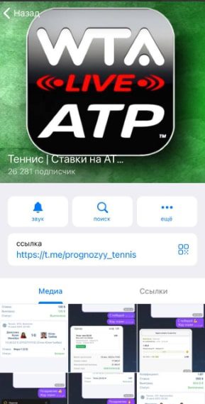 Aleksey Proff Tennis телеграмм