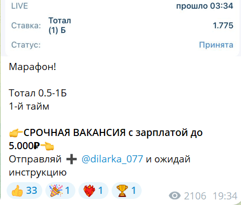 dilarka 077 отзывы