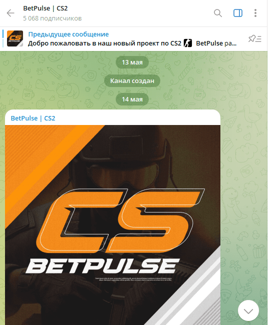 betpulse cs2